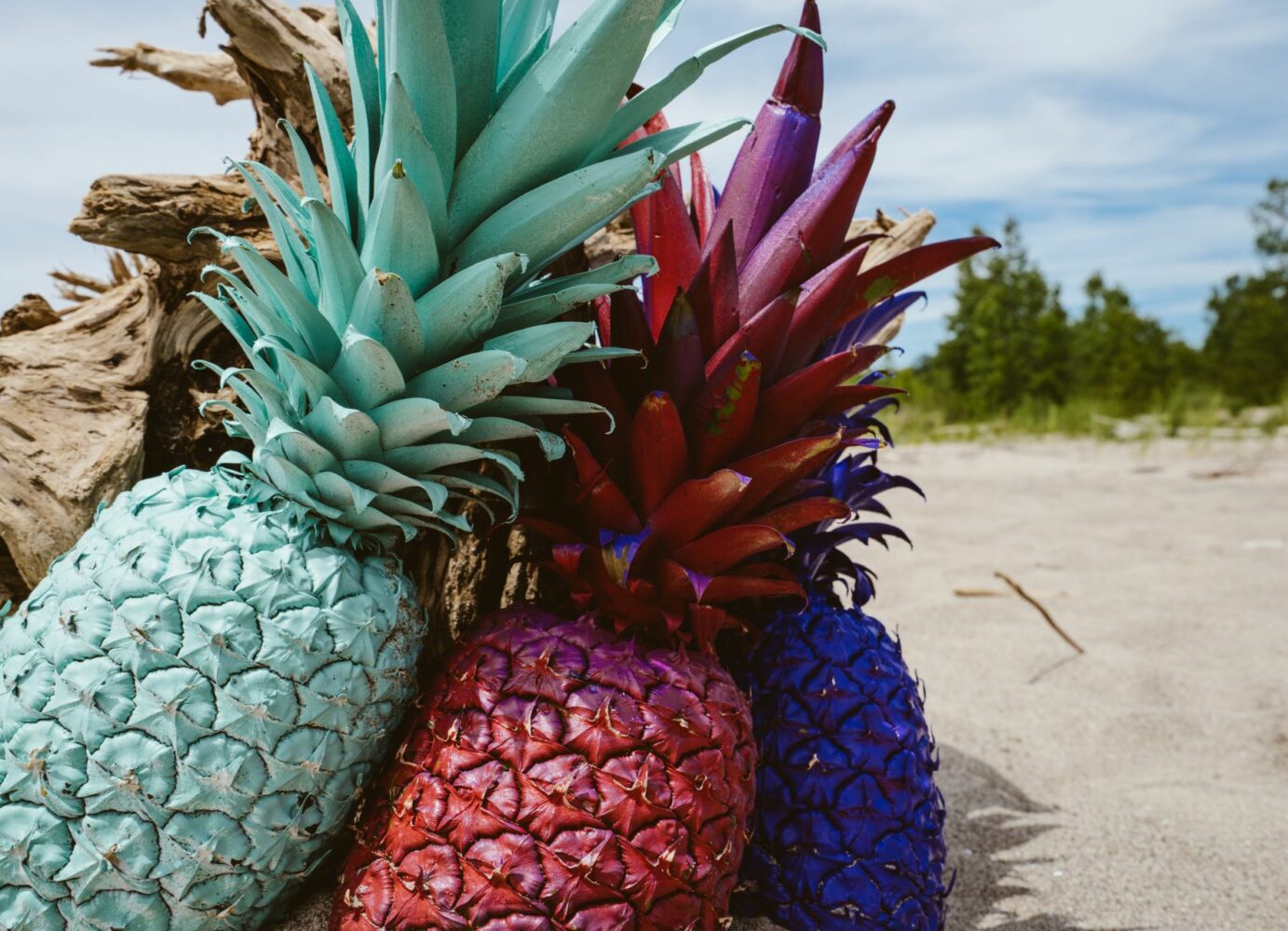 Colorful Pineapples