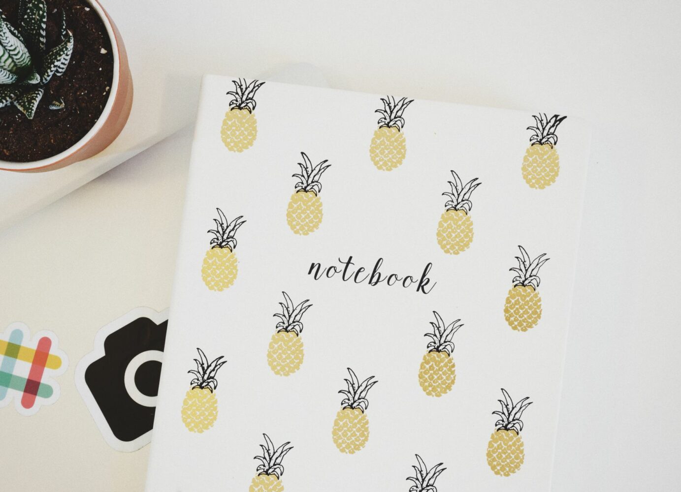 Pineapple Notebook